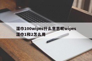 湿巾100wipes什么意思呢wipes湿巾1和2怎么用
