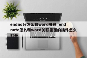 endnote怎么和word关联_endnote怎么和word关联里面的插件怎么打开